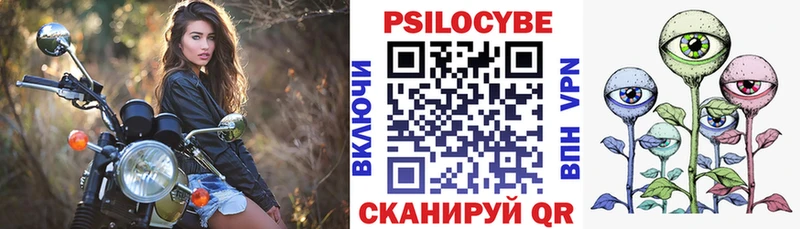 Галлюциногенные грибы Psilocybe  Беслан 