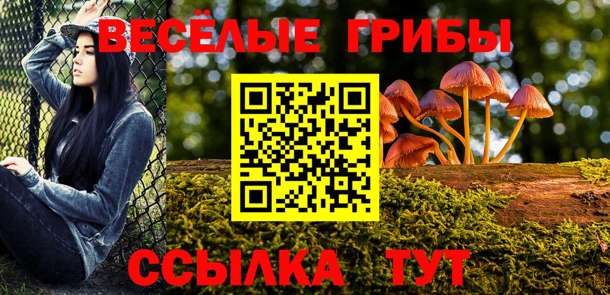 Псилоцибиновые грибы Psilocybine cubensis Беслан