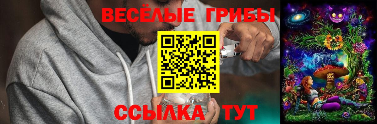 Беслан  даркнет сайт  Вход с VPN  Галлюциногенные грибы мицелий 
